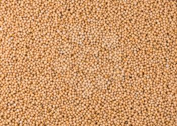 mustard seed as whole background texture