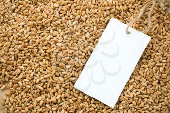 wheat grain and tag price