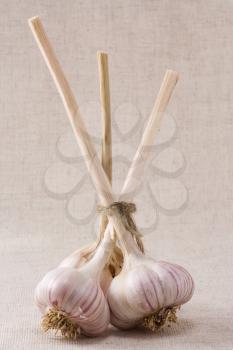 vertical image of garlics on textile