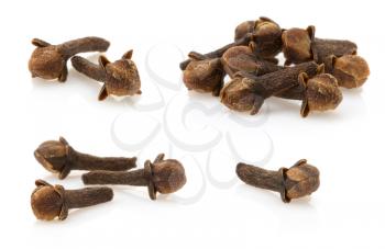 clove spices isolated on white background