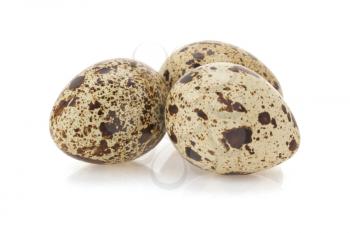quail egg isolated on white background
