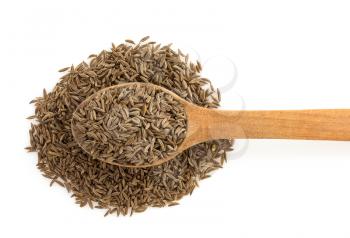 cumin seeds in spoon isolated on white background