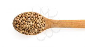 coriander spices in spoon isolated on white background