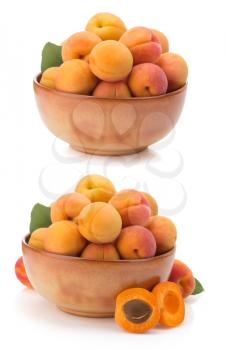 apricot in bowl isolated on white background