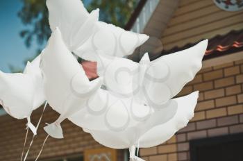 White spheres in the form of pigeons.