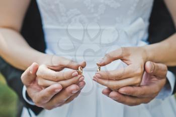 Young gently hold each other by hands.