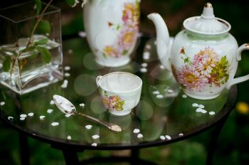 Service tea on the nature. On a little table leaves of flowers of a cherry was scatter.
