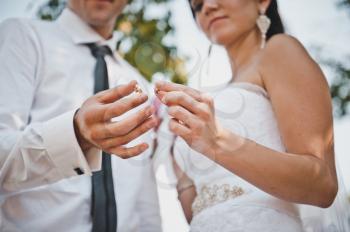 Wedding rings in hands of the newly-married couple.