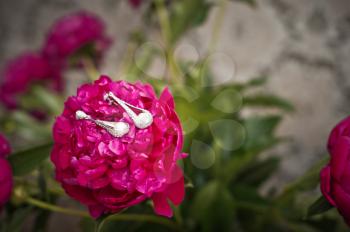 Red big flower and beautiful earrings.