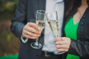 Process of a congratulation of the newly-married couple by wine drinks.