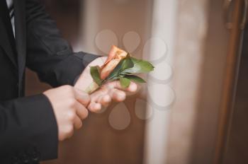 Rose flower in man's hands.