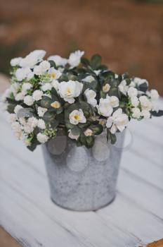 A bouquet of Jasmine in a small bucket.