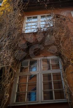 Stockholm. Old city. narrow streets and trees