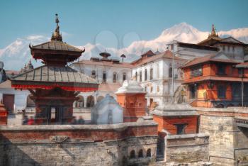 Freely walk monkey. Votive temples and shrines in a row at Pashupatinath Temple, Kathmandu, Nepal.