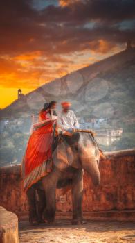 an elephant walking along the road at Amber Fort. India. Rajasthan