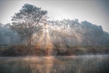 Chitwan National Park. The park is 932 sq. km, is mainly covered by jungle.