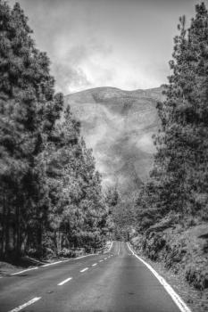road in the clouds in the mountains. Tenerife, Spain, Europe. black and white photography. minimalism