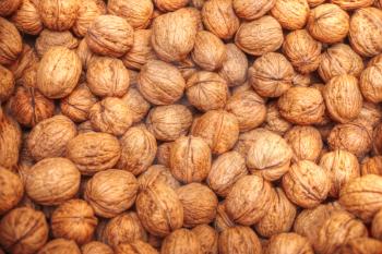 Walnut lies on the counter in the market