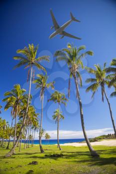 tourist plane flies over the palm trees of Easter Island