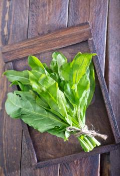 fresh sorrel on the wooden board and on a table