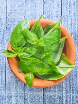 fresh basil in bowl and on a table
