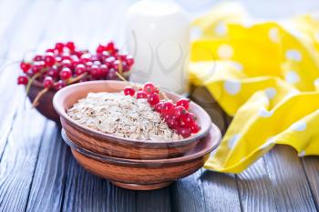 oat flakes with red currant in the bowl