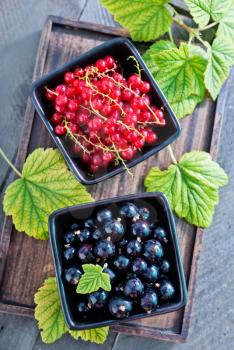 black and red currant