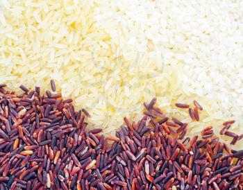 raw rice, background from different kinds of rice