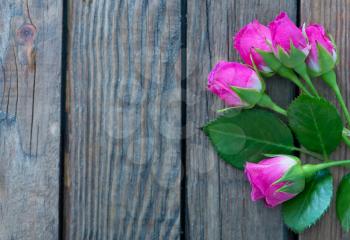 flowers on the wooden backgrond, holiday background