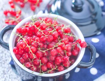 fresh red currant in bowl and on a table