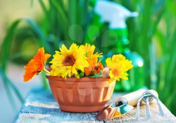 flowers and garden tools on the wooden table