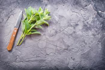 fresh mint on a table, stock photo