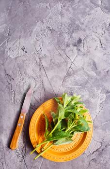 fresh mint on a table, stock photo