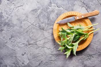 fresh mint on a table, stock photo