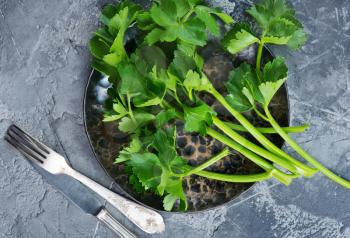 fresh celery on plate and on a table