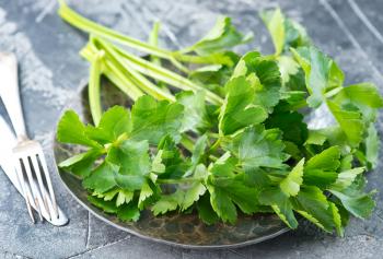 fresh celery on plate and on a table