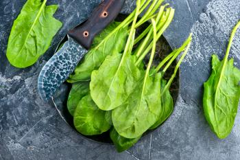 fresh spinach on plate and on a table