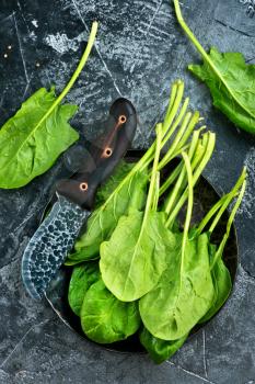 fresh spinach on plate and on a table