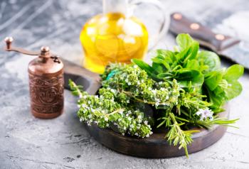 fresh herb on board and on a table