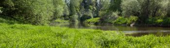 Panoramic view of river in forest with trees and green grass on the riversides under bright sunlight