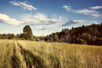 Meadow and forest under blue sky with white clouds under sunlight, rural landscape. Toning effect done with a vintage retro Instagram style filter