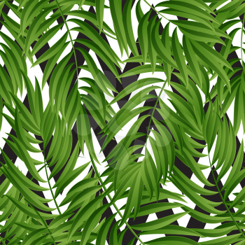 Tropical Palm leaves. Tropic palm. Tropical Palm leaf. Green tropic palm. Green palm summer tropical leaves. Tropic leaves frame.Green summer tropic palm leaves.