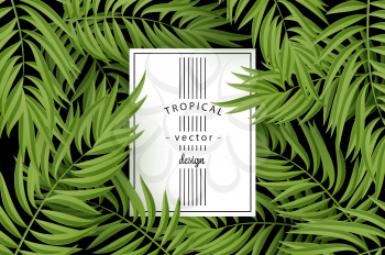 Tropical Palm leaves. Tropic palm. Tropical Palm leaf. Green tropic palm. Green palm summer tropical leaves. Tropic leaves frame. Green summer tropic palm leaves. Square frame.