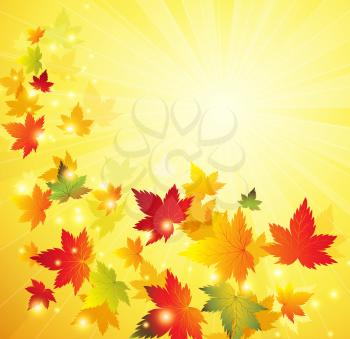 Autumn maple leaves background. Vector illustration. EPS 10