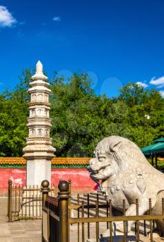 Stone lion and pagoda at the Four Great Regions Temple - Summer Palace, Beijing, China