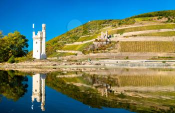 The Mouse Tower with Ehrenfels Castle on the background. The Upper Middle Rhine Valley, Germany
