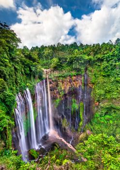 Coban Sewu Waterfalls in East Java, Indonesia