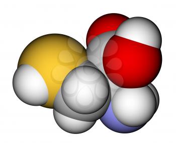 Amino acid cysteine 3D molecular model