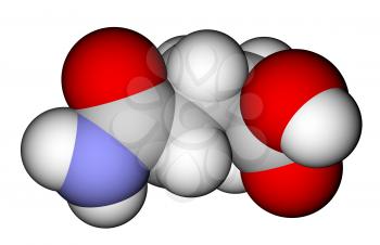 Amino acid glutamine space filling molecular model