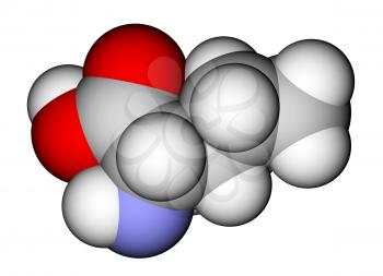 Essential amino acid isoleucine 3D molecular model